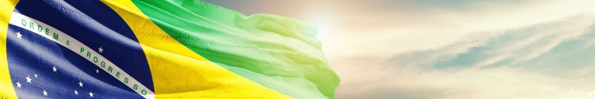 Sebastião Silva Cão-banana com bolas.