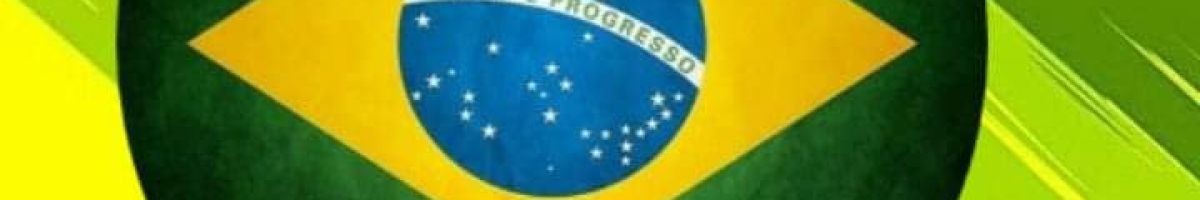 Rita de Cassia Vaz Guimarães Santos