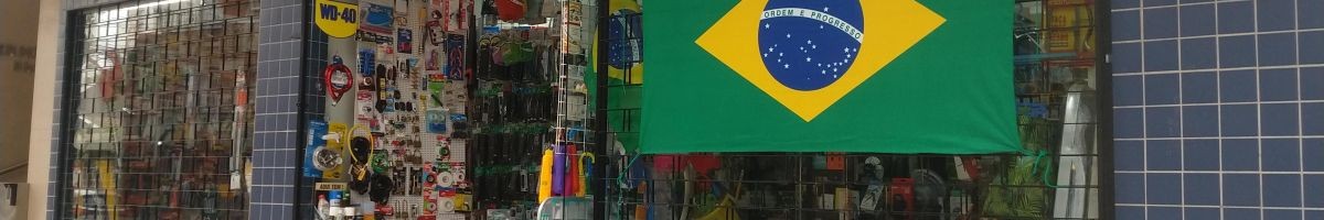 Hevandro Cruz da Silva